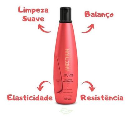 Imagem de Kit Restaurador Aneethun Restore System 3 Produtos