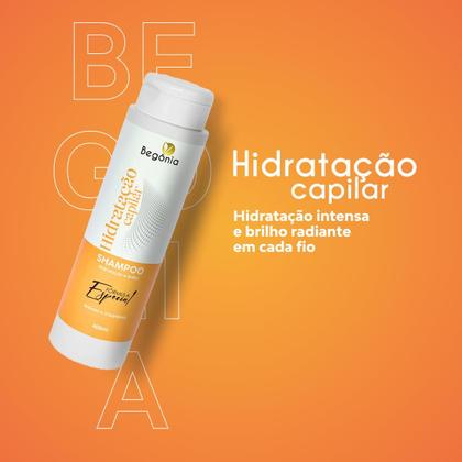Imagem de KIT Shampoo Begonia Hidratação Capilar 400ml 3 Unds