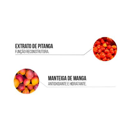 Imagem de Kit Shampoo + Condicionador + Máscara + Finalizador Widi Care Phytomanga 300ml