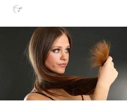 Imagem de Kit  Shampoo e Condicionador Sh-rd 100ml cada N.P.P.E