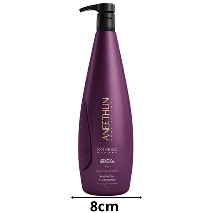 Imagem de Kit Shampoo Máscara Leave-in Aneethun No Frizz Escova Beauty