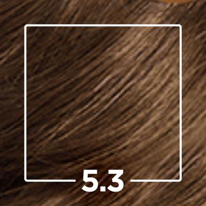 Imagem de Kit Tintura Imédia Excellence L'Oréal Castanho Claro Dourado 5.3