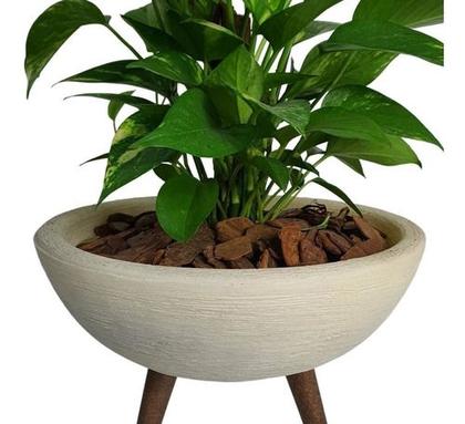 Imagem de Kit Vaso Bacia Com Muda De Jibóia Com Substrato Decorativo 