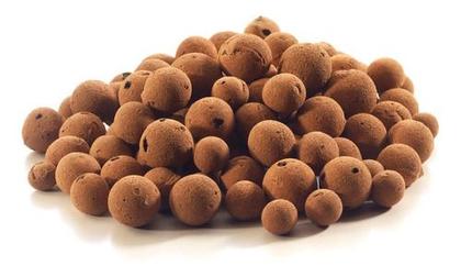 Imagem de Kit Vaso Bacia Com Muda De Jibóia Com Substrato Decorativo 