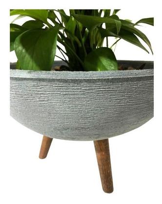 Imagem de Kit Vaso Bacia Com Muda De Jibóia Com Substrato Decorativo 