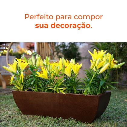 Imagem de Kit Vaso e Prato Jardineira Tamara Café 60 Terrano