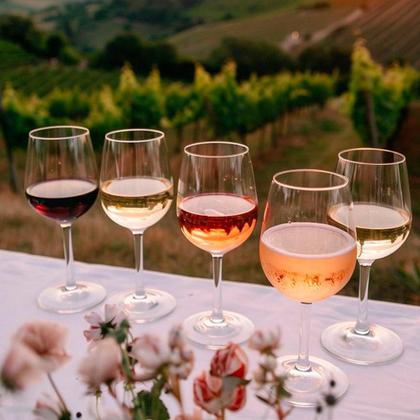 Imagem de Kit Viva La France  Vinho Tinto Branco Rosé 750ml  Vinhos Franceses Importados  Presente Elegante