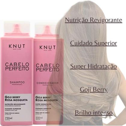 Imagem de Knut Hair Care Cabelo Perfeito Hidratação Nutrição Rosa Mosqueta Kt Shampoo e Condicionador