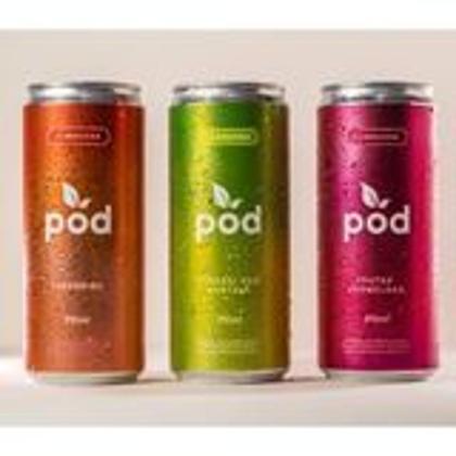 Imagem de Kombucha Sabor Uva Lata 310ml Pod Kombucha