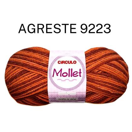 Imagem de Lã Mollet 40g - Circulo