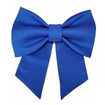 Imagem de Laço virgínia oxford (pacote com 10 unidades)