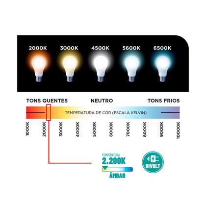 Imagem de Lâmpada de Filamento Led Âmbar 2200K Globo G95 4W - Noll Led