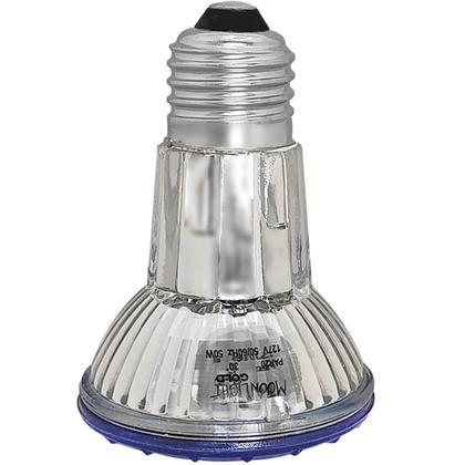 Imagem de Lâmpada Hálogena Colorida Azul  Par20 50w 220v E27