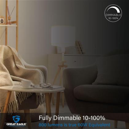 Imagem de Lâmpada LED Great Eagle Lighting 14W 5000K 1500lm A19, pacote com 6