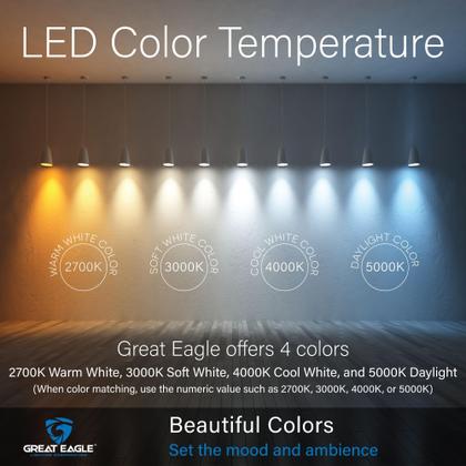 Imagem de Lâmpada LED Great Eagle Lighting 14W 5000K 1500lm A19, pacote com 6