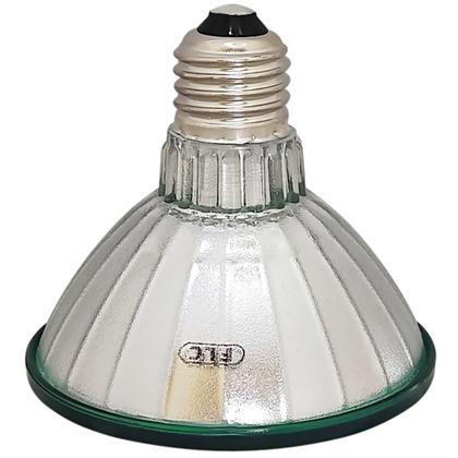 Imagem de Lâmpada Led Par30 11w Bivolt Luz Verde E27 IP65 FLC