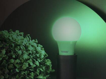 Imagem de Lâmpada Led TKL Colors 5W Verde E27 Bivolt Taschibra
