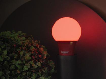 Imagem de Lampada Taschibra Led Tkl Colors 5W Bivolt