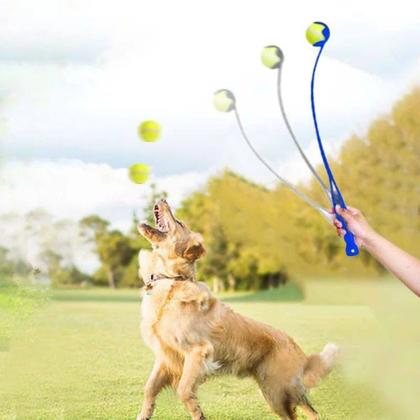 Lançador De Bolas Interativa Pet Brinquedo Manual + Bolinha Cachorro ...