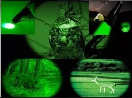 Imagem de Lanterna Led Luz Verde Caça Pesca Foco Jws Ws-533q