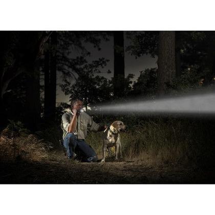 Imagem de Lanterna Maglite Led 2D Cód. St2d016 GRAFITE Original Usa