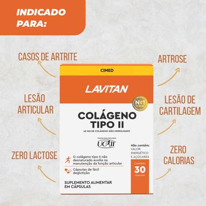 Imagem de Lavitan Colageno Tipo II 30 Caps