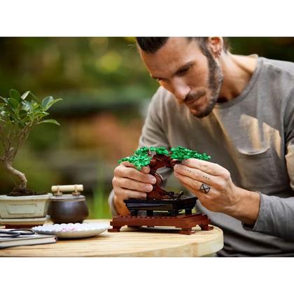 Imagem de LEGO Botanical Collection Árvore Bonsai - 878 peças 10281