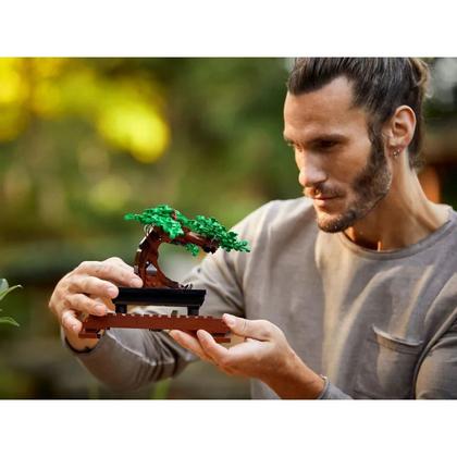 Imagem de LEGO Botanical Collection Árvore Bonsai - 878 peças 10281