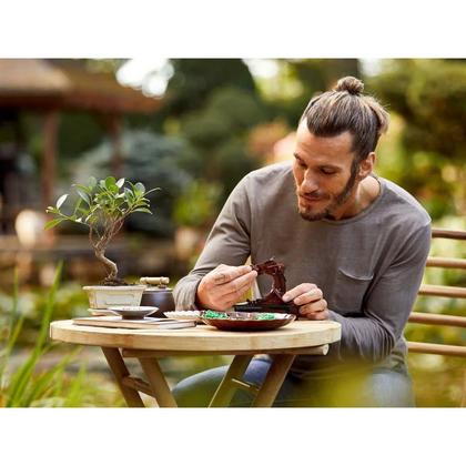 Imagem de LEGO Botanical Collection Árvore Bonsai - 878 peças 10281