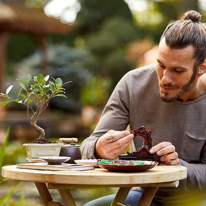 Imagem de LEGO Creator Expert - Bonsai Tree 10281