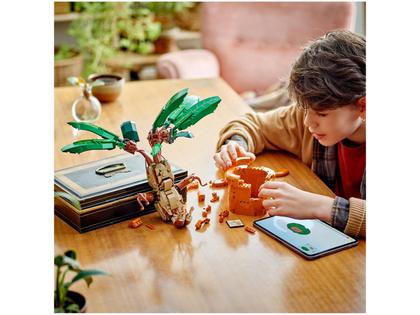 Imagem de LEGO Harry Potter Mandrágora 76433