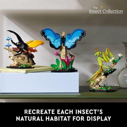 Imagem de LEGO Ideas - Conjunto de Construção The Insect Collection 21342
