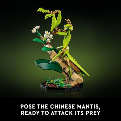 Imagem de LEGO Ideas - Conjunto de Construção The Insect Collection 21342