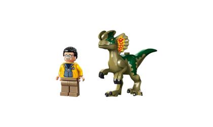 Imagem de Lego Jurassic World - Emboscada Do Dilofossauro 76958