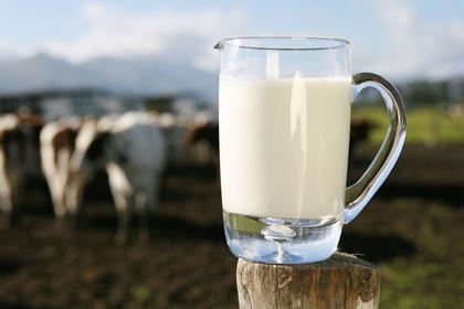 Imagem de Leite Integral Natural Milk 1L - Itambé