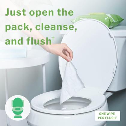 Imagem de Lenços umedecidos laváveis para adultos McKesson Aloe Vitamina E 96 ct