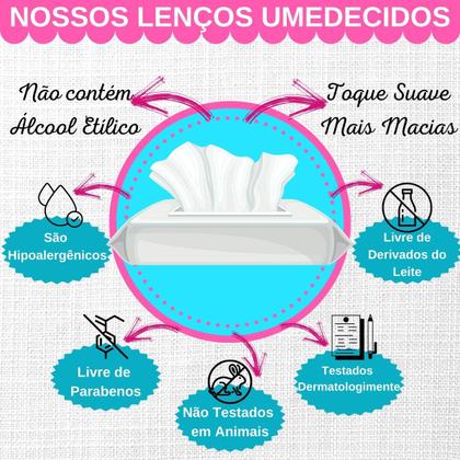 Imagem de Lenços Umedecidos Lencinho Higiênico kit 10 Pacotes