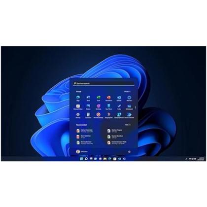 Imagem de Licença Microsoft Windows 11 Pro  64 Bits  1 PC  Mídia Física