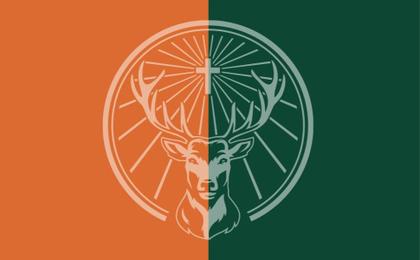 Imagem de Licor Jagermeister Aperitivo Edição Limitada Verde 700ml