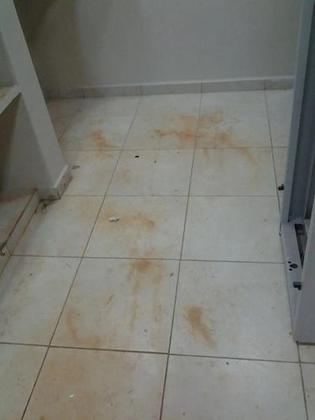Imagem de Limpador Pós Obra Desincrustaste 5lt Spartan Decrust B