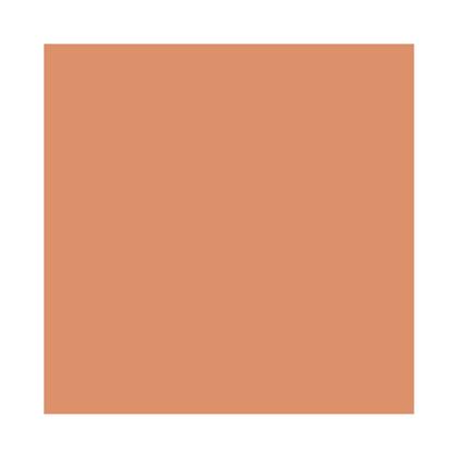 Imagem de Lip Perfector 2 em 1 Clarins Gloss Labial 12ml