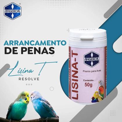 Imagem de Lisina T 50g Amgercal Pássaros Melhora Anemia, Plumas, Penas