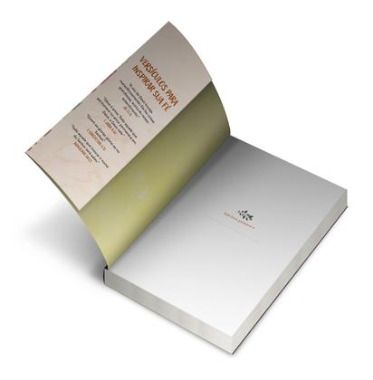 Imagem de Livro - 365 dias com Deus