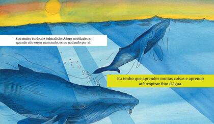 Imagem de Livro - A baleia corcunda