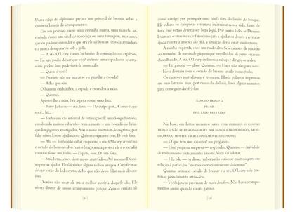 Imagem de Livro - A batalha do labirinto