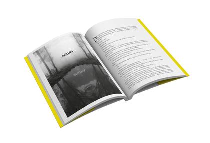 Imagem de Livro - A casa do outro lado do lago