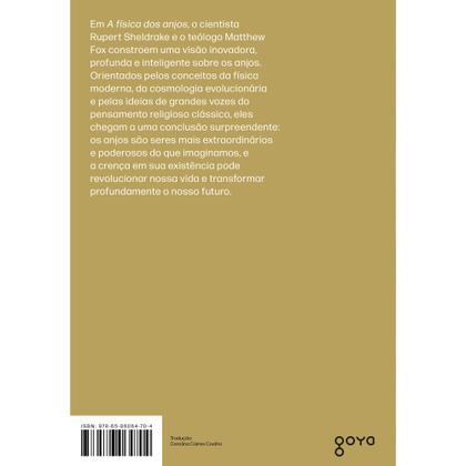 Imagem de Livro - A física dos anjos