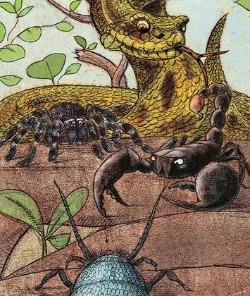 Imagem de Livro - A grande assembleia dos bichos pestilentos e peçonhentos