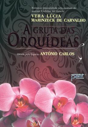 Imagem de Livro - A gruta das orquídeas