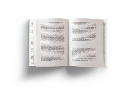 Imagem de Livro - A incrível viagem de Shackleton